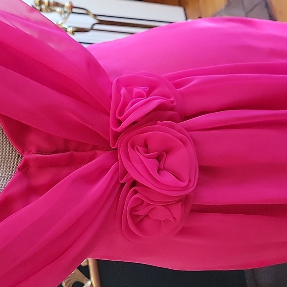 Vintage Fushia Gown - Picture 6 of 12